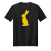 Adult Softstyle ® T Shirt Thumbnail