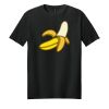 Adult Softstyle ® T Shirt Thumbnail
