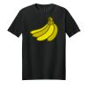Adult Softstyle ® T Shirt Thumbnail