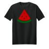 Adult Softstyle ® T Shirt Thumbnail