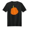 Adult Softstyle ® T Shirt Thumbnail