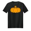 Adult Softstyle ® T Shirt Thumbnail