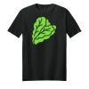 Adult Softstyle ® T Shirt Thumbnail