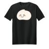 Adult Softstyle ® T Shirt Thumbnail